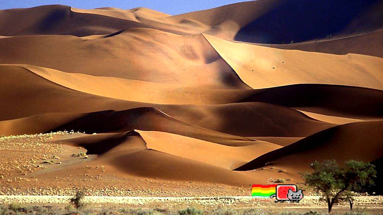 Beautiful desert