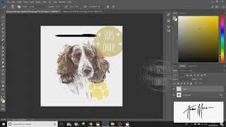 How to watermark your photos, portraits and images using stamps on Photoshop screenshot 5