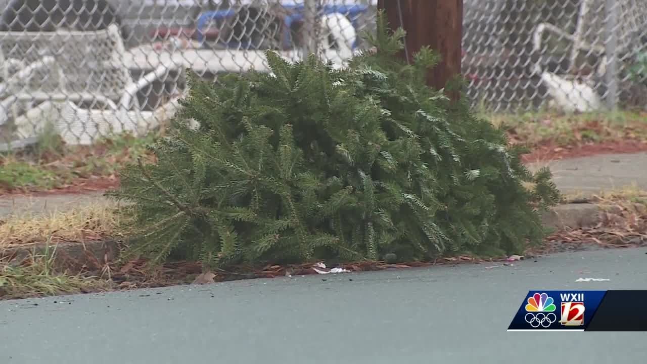 How and where to safely dispose of your Christmas tree after the