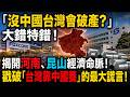 沒中國台灣會破產？大錯特錯！揭開河南、昆山經濟命脈，戳破「台灣靠中國養」的最大謊言！