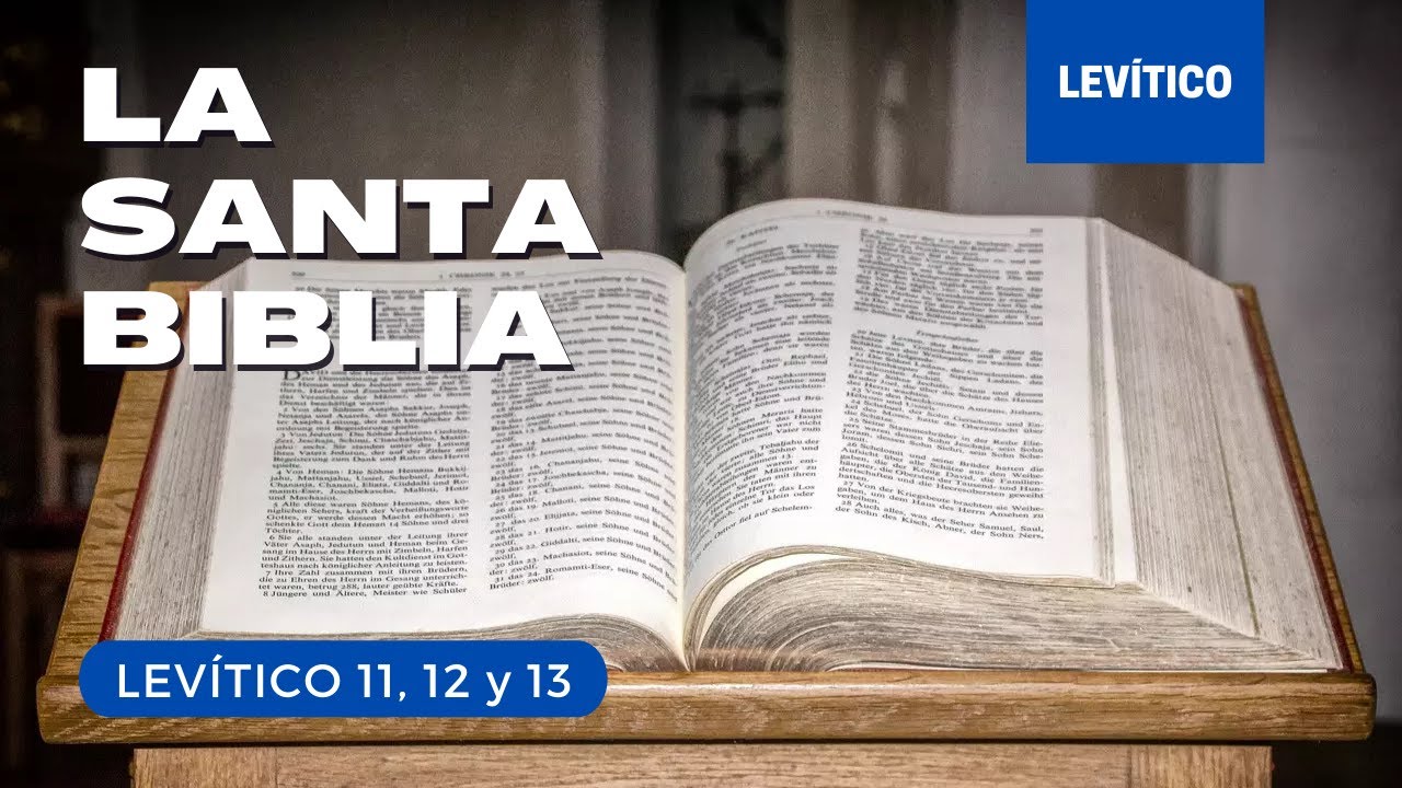lev-tico-11-12-13-d-a-33-la-santa-biblia-biblia-hablada-youtube