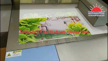 Xưởng in UV tại Hạ Long, Quảng Ninh