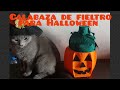 Calabaza de Halloween