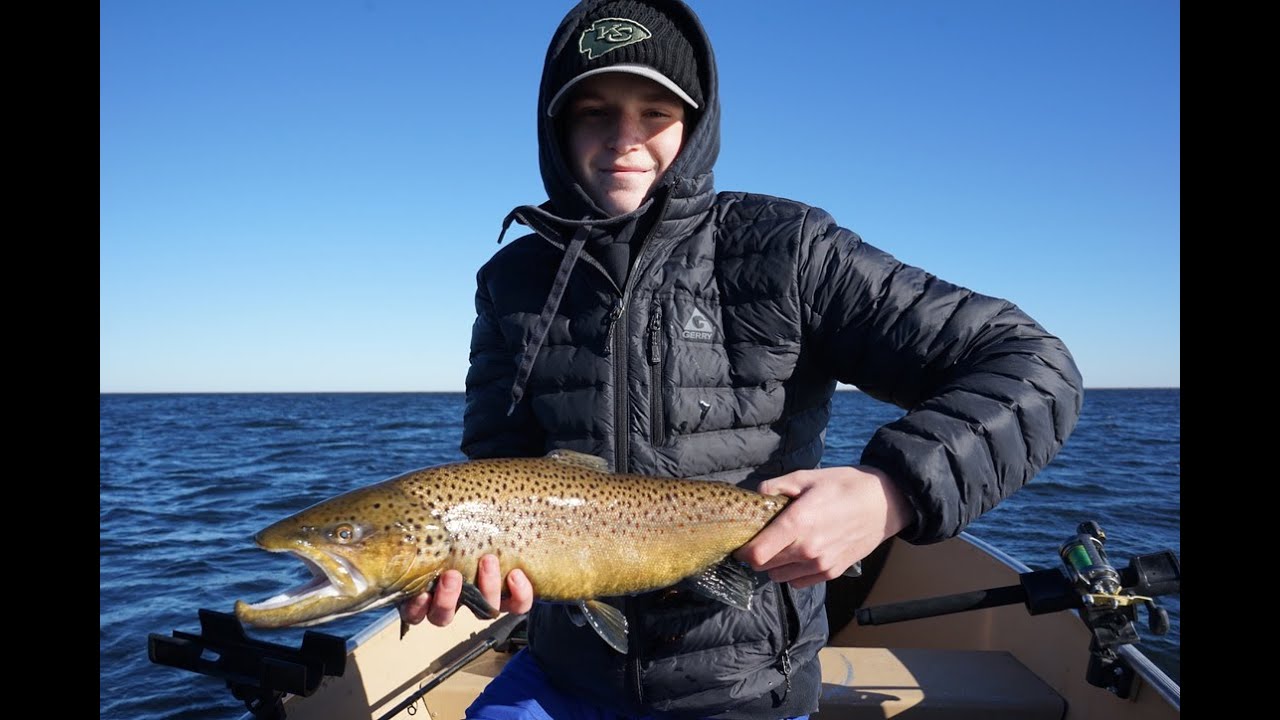 How to CATCH, CLEAN, and COOK Brown Trout in Lake Michigan YouTube