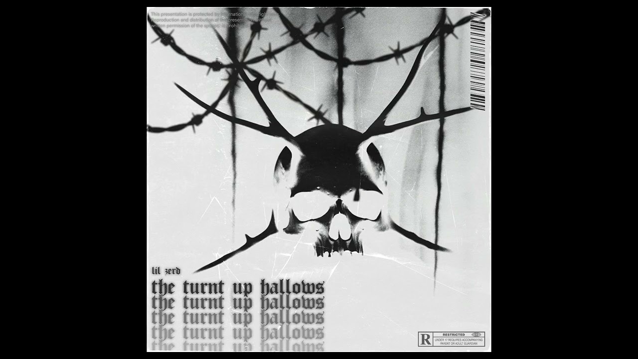 Turnt up (prod. terroir)