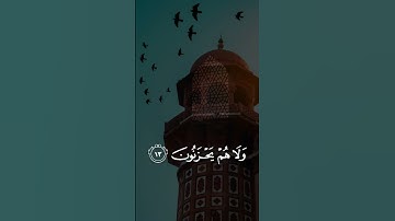 من سورة الأحقاف بصوت أنس الراسبي  Surah Al-Ahqaf (Anas Alrasbi) #quran #islam #islamic #ramadan