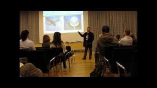 Claudiu Moldovan Från Mylifeacademy Föreläser På Stadsbiblioteket I Malmö