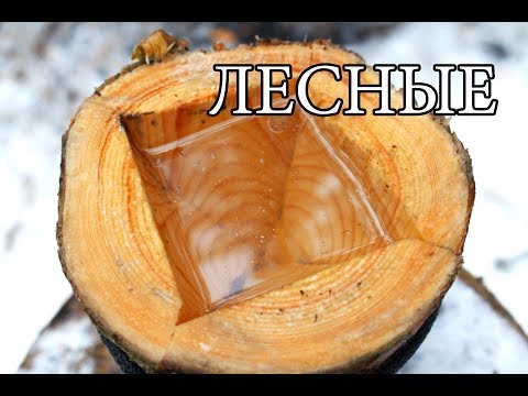 7 ПРОСТЫХ СОВЕТОВ ДЛЯ ЛЕСА | 7 BUSHCRAFT TIPS