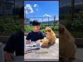 Tommy brought me noodles 😂~ Carriage House wooden artist/ #shorts #cartoon #ytshorts