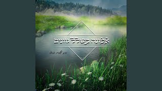 הגשר הצר