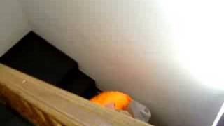 Robbert Krijgt Een Cadeau