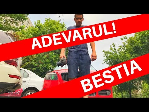 ADEVAR SAU MINCIUNA DESPRE BESTIA LUI BOGDAN PRICOPE - FABIA S2E131