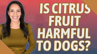 Is citrus fruit harmful to dogs?