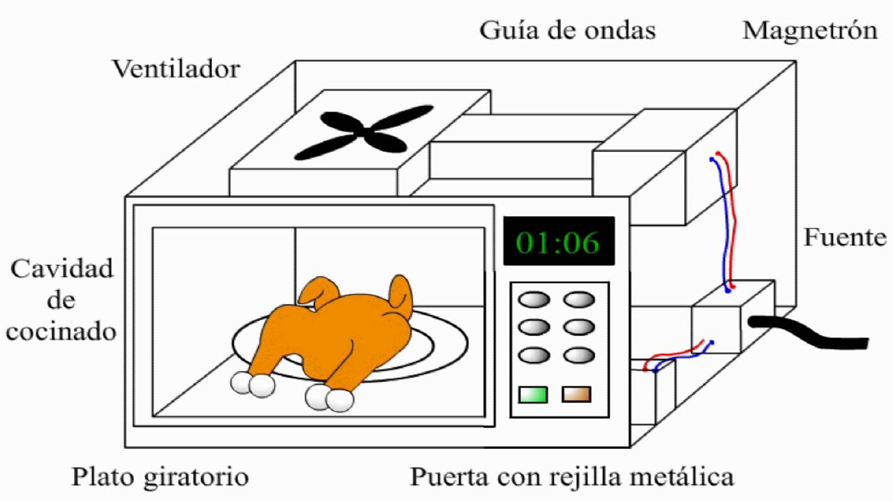 Como funciona un horno microondas