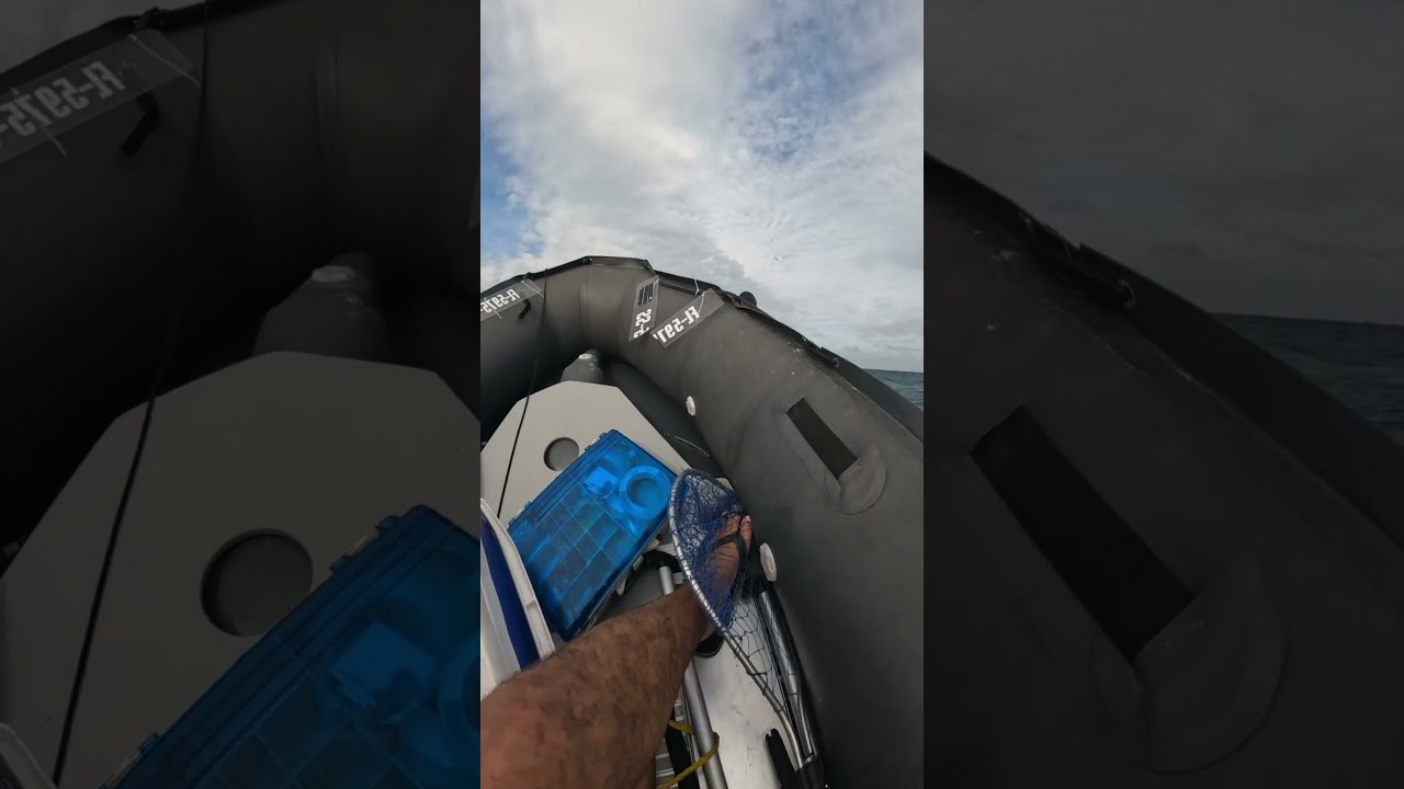 2-4ft swells in dinghy wanna come? LOL 