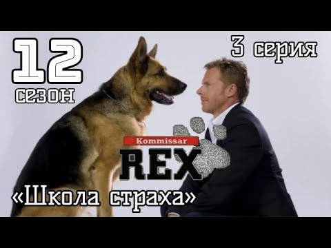 Комиссар рекс 12 сезон 3 серия