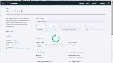 Voice Agent for Watson session   demo