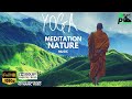 🎧 Yoga Meditation music in Nature [5.1 Surround]