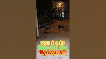 #SHORTS KHANH NGUYEN CUỘC SỐNG ĐỨC, VGC Ở ĐỨC NGÀY CHƠI ĐÊM NGỦ TẠI CHÔ