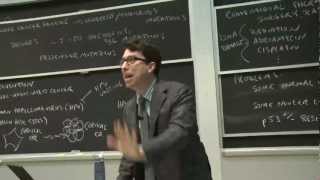 Jonathan Zittrain on Memes & Society