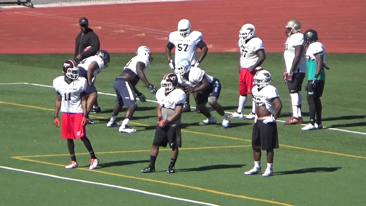 2016 Tropical Bowl American Team White Practice Film + One on Ones