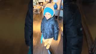 The Trees Are Falling