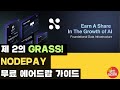 grass nodepay AI depin airdrop guide