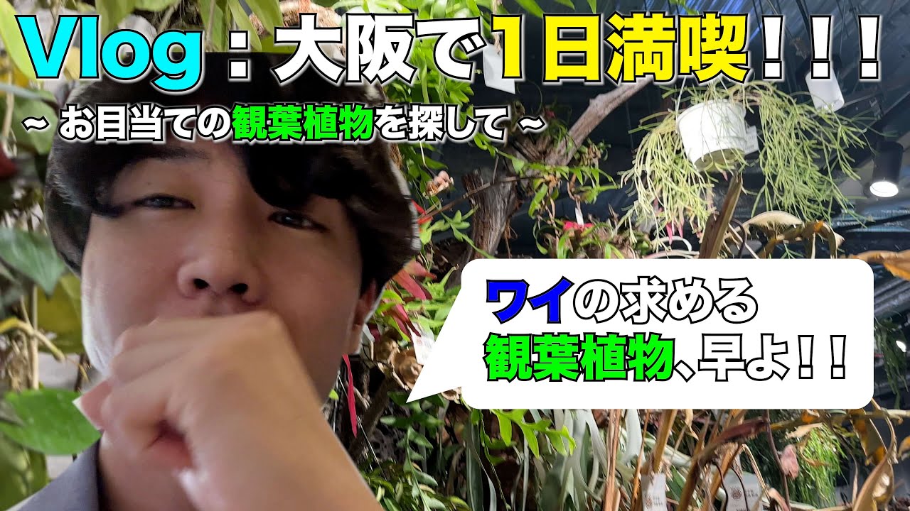 大阪で1日満喫したで！！！