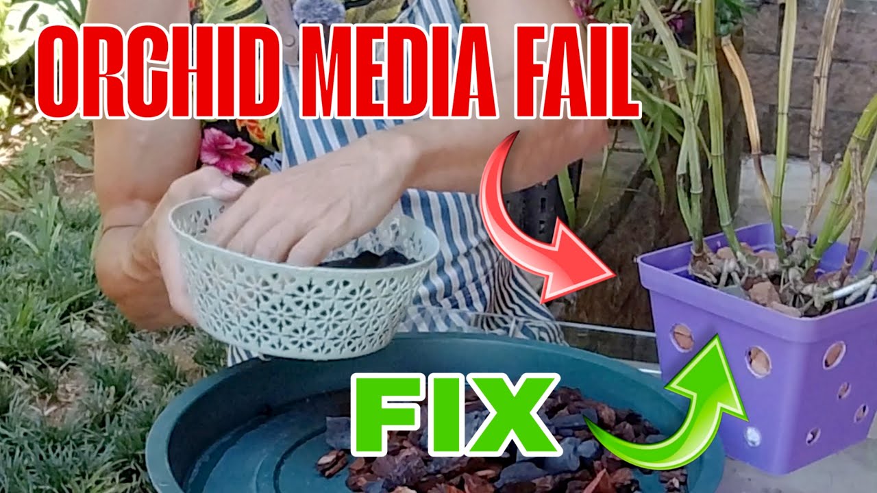 Я попробовала использовать битый кирпич для выращивания орхидей – вот что пошло не так.