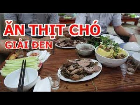 LỚP HỌC CỜ BẠC BÀI 5: 10 MÓN ĂN GIẢI ĐEN THẦN TỐC - youtube
