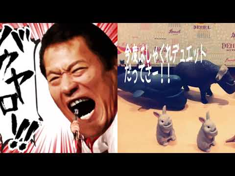 [everysing] 今夜は離さない