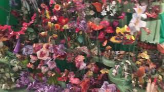 Take a quick tour of Florida woman's sculptural paper flower garden