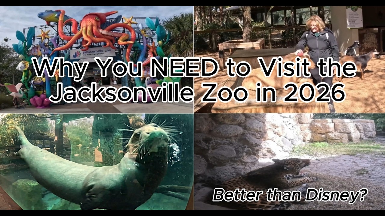 Не ожидал такого от скатов! Дикий день в зоопарке Джексонвилла 2026