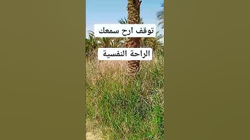 قارئ محمد فقيه #ouargla #الجزائر #algeria #اكسبلور #ورقلة #لايك #الصحراء #القرآن #nature #تيك_توك