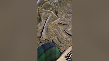 PSY 210 Lifespan Human Growth and Development: Applying Development Theories & Bioecological Model