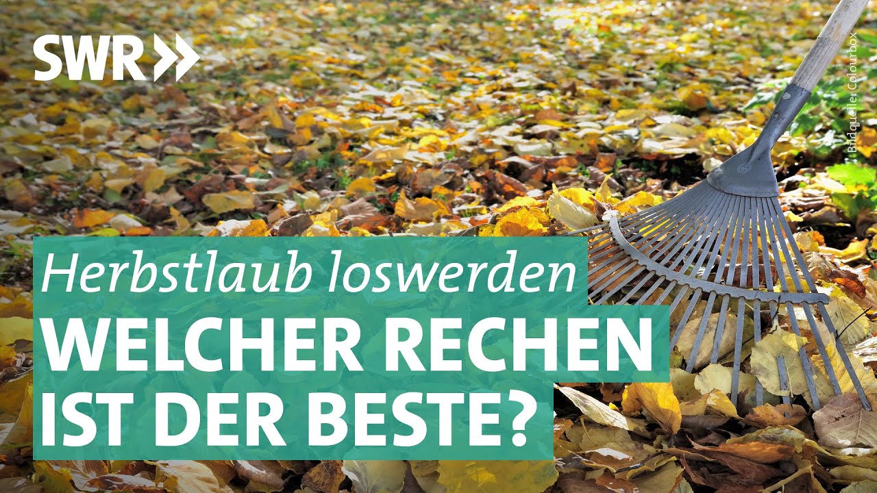 Soljanka Wie Zu DDR-Zeiten – Das Schnelle Rezept Für Genießer
