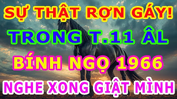 Tiên Báo Tháng 11 ÂL 3 Sự Thật Rợn Người Được Tiết Lộ, Bính Ngọ 1966 Chắc Chắn Có Chuyện Lớn Xảy Ra