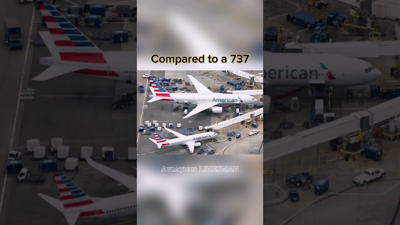 True Size Of The 777 Aviation Aircraft Boeing 737 A319 Engines Comparison