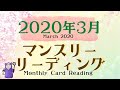 #60🎎2020年3月🏫マンスリーリーディング🦝✨ホロスコープ展開法✨で読んだら長くなりすぎた😐(起こりそうなこと＆やった方がいいこと＋α）🔮あらいぐま　カードリーディングの森🌲🦝