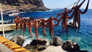 Ammoundi Fish Tavern SANTORINI You Have to go there !Food is incredible