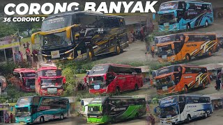 [BUSET CORONG BERAPA NIH ⁉️] AKA WISATA 'AL FARIZI' SUARANYA KUENCENG POLL ‼️