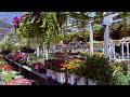 Home Depot Garden Center Inventory Update May 2026
