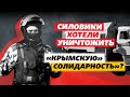 «Силовики преследовали цель – ликвидировать Крымскую Солидарность» – крымская правозащитница