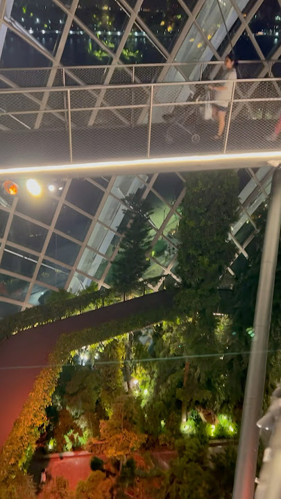 best view siya talaga naka kakatakot sa taas  #shortvideo #shorts #singapore #myvideo #shortclip
