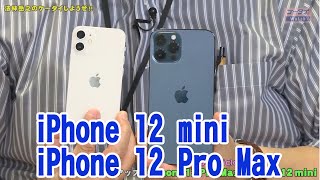 法林岳之のケータイしようぜ!!／アップル「iPhone 12 Pro Max/iPhone 12 mini」／598／2020年11月25日公開