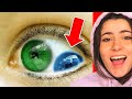 LE 10 COSE PIÚ RARE DEL MONDO