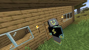 The Average Minecraft Experience