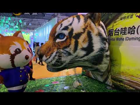 inflatable world inflatable costume artistic direction how to decorate wedding stage