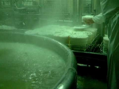 LAVORAZIONE RICOTTA.AVI