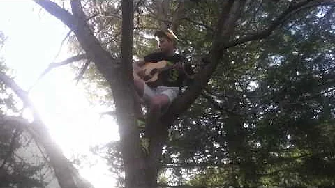 Zach Lowery - A Bird's Eye View